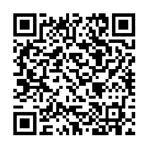 但那源自于血脉的威压让努比斯不得不露出骇然之色二维码生成