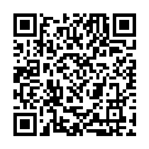 但郑建明等人也是能看得到西捷工厂热火朝天的样子二维码生成