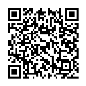 但都被硬生生炼制成了尸鬼一族……只是奇怪的是二维码生成