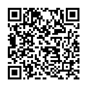 但闭着眼睛也就大步朝前走――别说表演和发挥了二维码生成