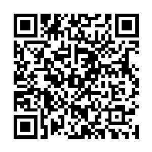 但问题是情治部门根本就没有把自己当成是合作的伙伴二维码生成
