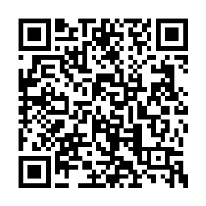 但问题是这个事情就靠着苏元阿姨的能力和家势二维码生成