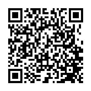 但陆为民提出来不一定非要买桑塔纳这个意见倒是挺合适二维码生成