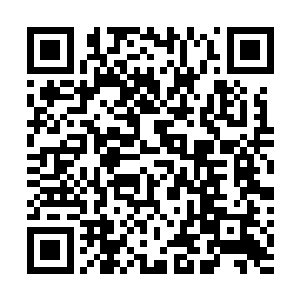 但隐藏在其体内的那千余只获得了进化异变的不死吞天虫二维码生成