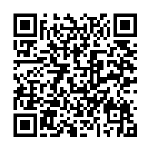 但雷林却对之抱以怀疑的态度贞观大闲人全文阅读二维码生成