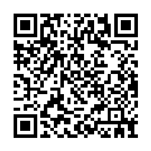 但雷林却敏锐地察觉到了对方的目光柔和了不少二维码生成