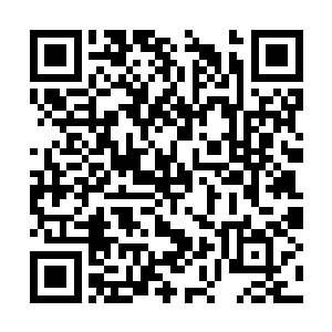 但雷林由此也看到了万蛇之母对于蛇类的控制权力二维码生成