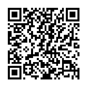 但霍君白还是被这似乎有魔力的声音将心跳微微牵动了些许二维码生成