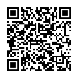但青年的表情和身姿却和梦境中的那人贴合在一起二维码生成