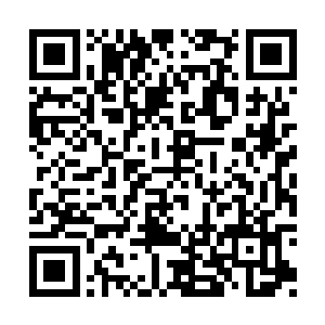 但青鸾仙子猜测这小滑头是在表示重视她的赏赐二维码生成