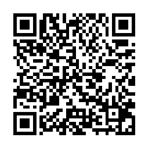 位于幽谷正北百余里外的一片铁杉灵树密布的山丘上二维码生成