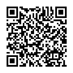 位面侵蚀的事情有专门的科研船和干涉舰队负责二维码生成