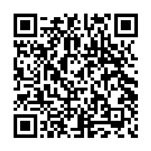 体内仅剩的仙力全部灌注到了手中的刺神匕当中二维码生成