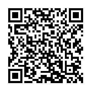 体内的力量在之前的战斗当中已经是全部耗尽了二维码生成