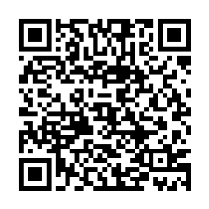 体内的那些病和毒会不会有一日失去平衡突然爆发二维码生成