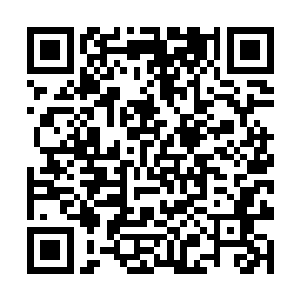 体内的骨骼经脉更是承受不住那巨大的压力纷纷断裂二维码生成