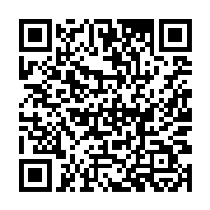 体内经脉中的仙元力如同奔腾的长河一般冲刷着经脉二维码生成
