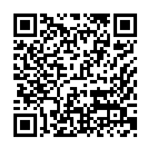 体内蓄积的法力犹如水坝决了道大口子狂泻而出二维码生成