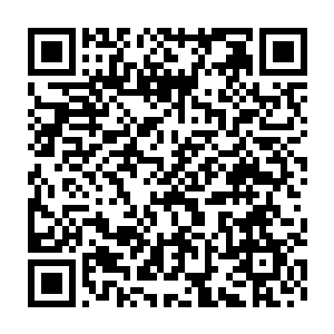 体内血脉因为受到大恶魔巴尔赫刺激而激发了一定的熔火君王的血脉二维码生成