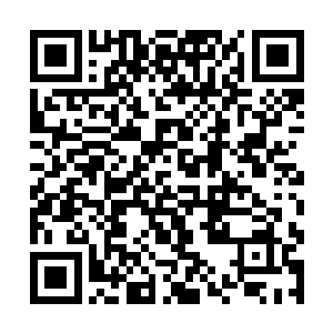 体表有一层同样虚淡的几乎无法察觉的元光一闪而逝二维码生成