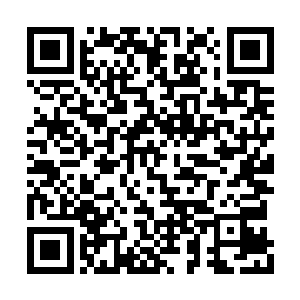 体质稍微低点的人类和其它智慧生物都不能抵挡二维码生成