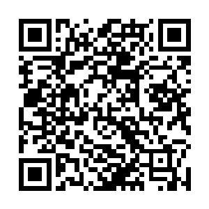 何书蔓和安颜自从上次见过一面之后就再也没有见过了二维码生成