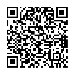 何书蔓早就猜到了自己的闺蜜也是不会同意自己这么做的二维码生成
