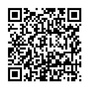 何书蔓都有些吃不消他们一遍又一遍地吩咐自己了二维码生成