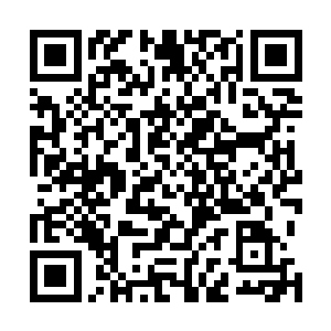 何以忽然想到要来攻打老身这之寻求四大部洲安宁的仙岛二维码生成