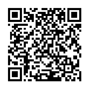 何况…这寨子里可没有一个心心念念不忘惦记我脸皮的人二维码生成
