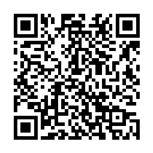 何况之前巫神还制造出来了不少头专门用来侍候自身的巨虺二维码生成