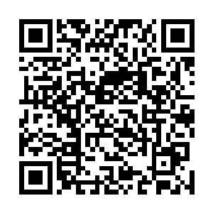 何况还需要参悟剑意以及震天劲和透空劲这两种发力技巧二维码生成