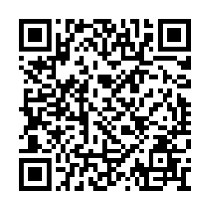 何尝不让他们亲自去体会那爱情之间的磕磕绊绊二维码生成