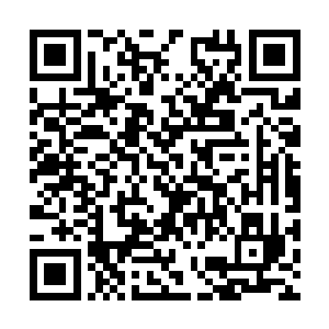 何振南一听周书记亲自给傅山县的新工业园跑手续二维码生成