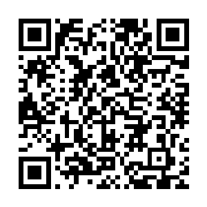 何肃带着自己属下的兵马继续一路往城里去清剿城中的北境兵马二维码生成