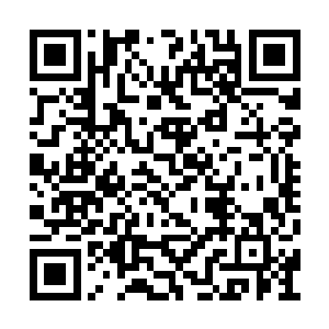 何鑫解开安全带把她从车上抱了下来向酒店走去二维码生成