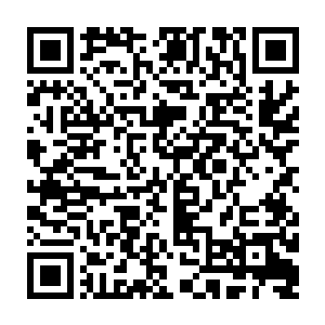 余下的十一个远古天尊和八大宗主也各自凝聚出一只大手插向了芥子空间二维码生成