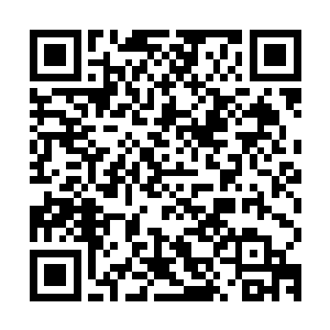 余下的所有的圣级混沌兽和域外天魔都在疯狂地攻击着万妖大阵二维码生成