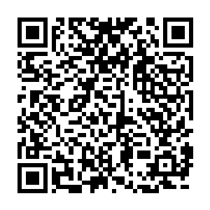 余嬷嬷本就因为柳氏和白硫决的争吵害的白老夫人昏倒而心生不满二维码生成