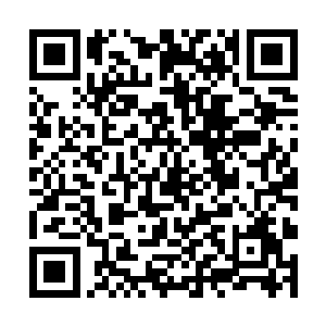 余款等我们这边和市政府那边的合同程序走完了之后二维码生成