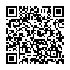 佛祖以自身悟道之菩提树铭刻所得半步道果而成二维码生成