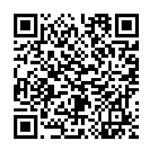 作为一个领导你不可能去打破常规要去看人家没有准备的东西二维码生成