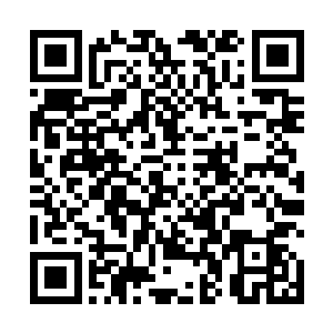 作为利益同盟一齐帮我们扩大着原料规模与销售覆盖面二维码生成