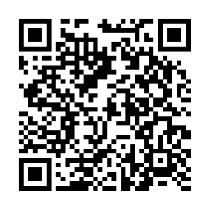 作为剑姬局数达到三千盘以上的国服最强剑姬使用者二维码生成