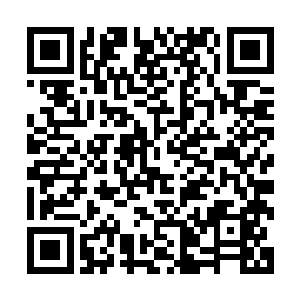 作为幽州老牌豪门的陆家也开始展现起自己的强壮肌肉和底蕴二维码生成