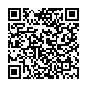 作为当初你们提供给我充足资金建立星空科技的回报二维码生成