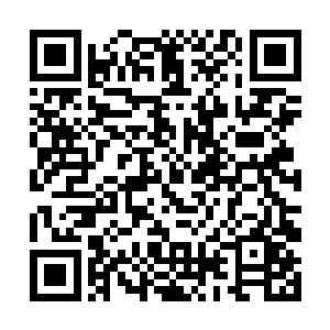 作为流星城城主的龙飞是拥有操控这种力量的能力的二维码生成