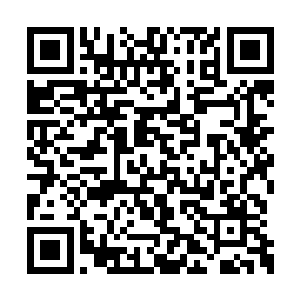 作为赤焰神域范围内的螣蛇族万年来的最强天才二维码生成