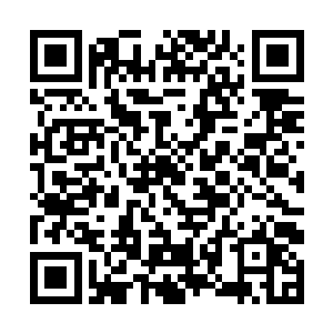 作为门主的孙子轩又具有强悍的战斗力和高深的医术二维码生成