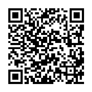 作战能力不会比那些队长级死神和影级忍者差的二维码生成